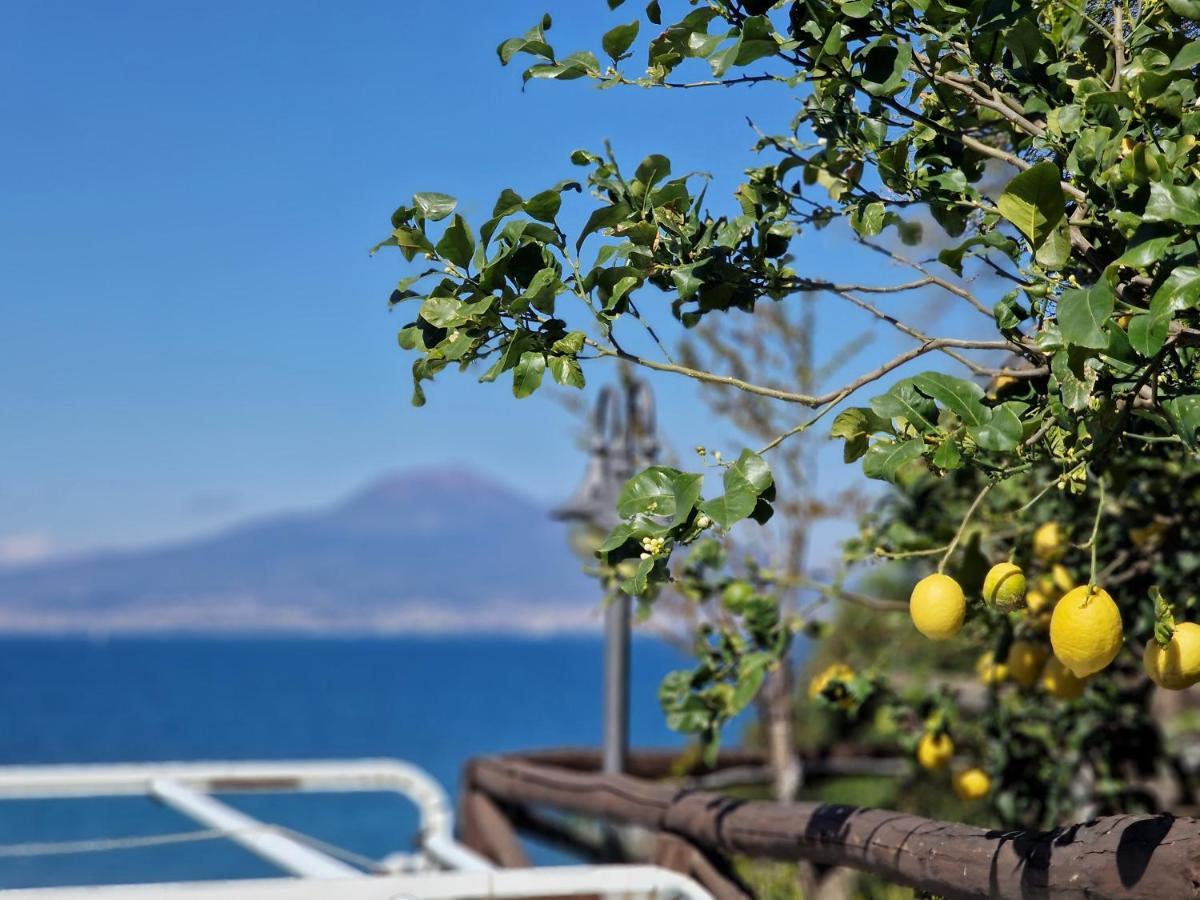 Vico Di Mare Διαμέρισμα Vico Equense Εξωτερικό φωτογραφία